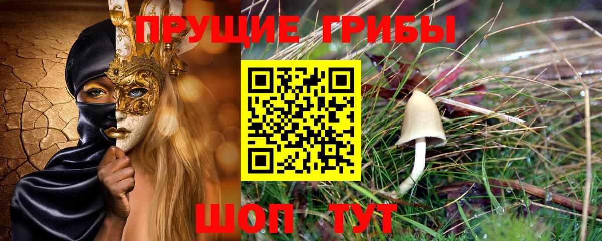 Галлюциногенные грибы мухоморы  Вход с VPN  купить наркотики сайты  Лесосибирск 